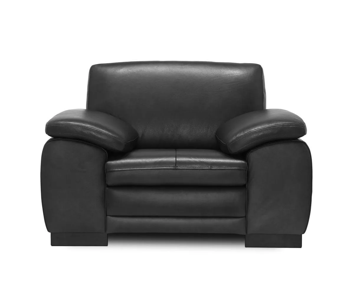 Cercis Leather Chair