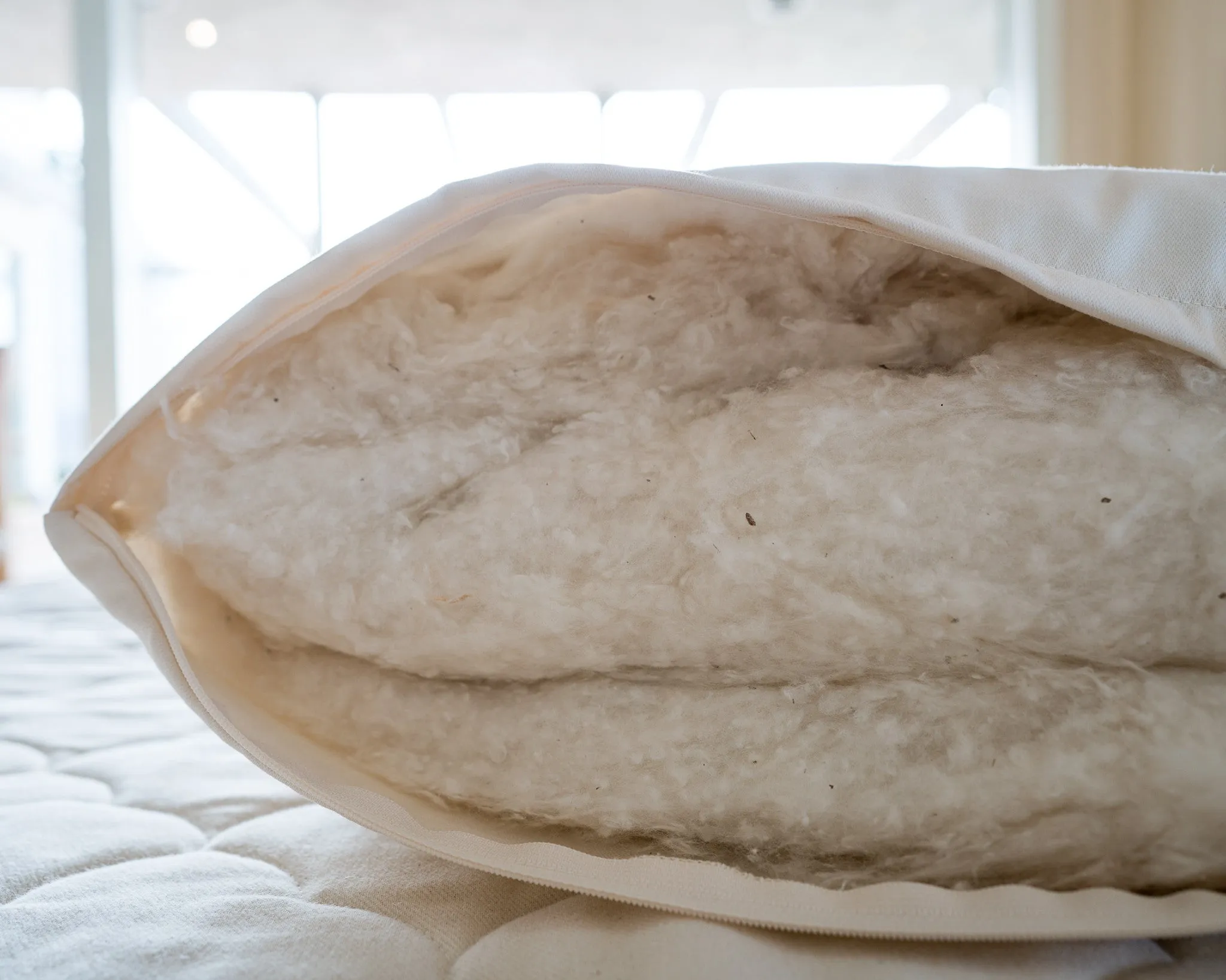 Cotton Pillow