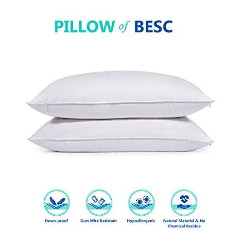 Down Pillows For Sleeping Queen Size - Pack of 2 Standard Hotel Collection