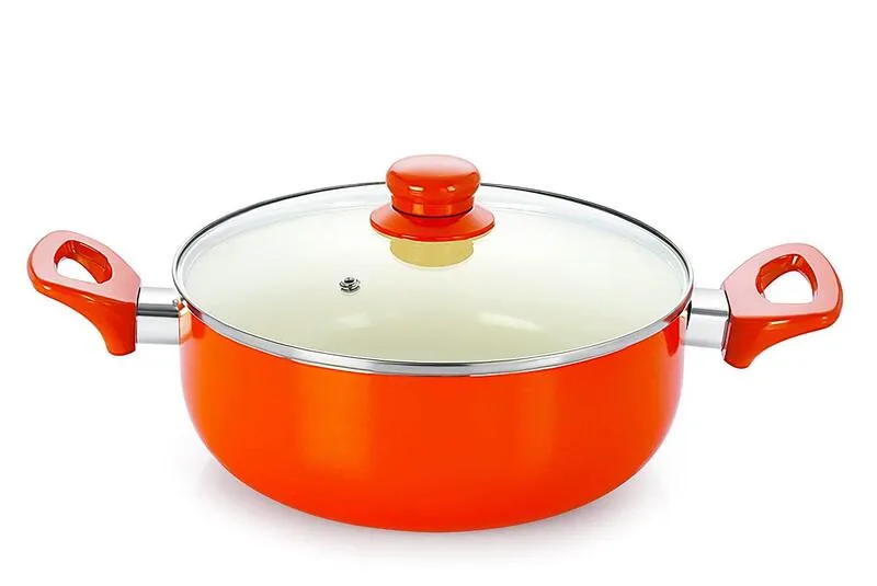 Nirlon Orange Non Stick Cooking Pot With Lid - 2600 ML/9 Inches