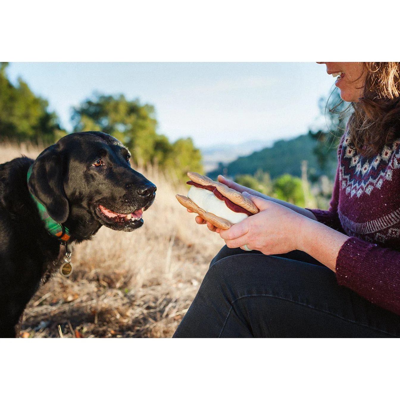 P.L.A.Y - Camp Corbin - Gimmie S'more Dog Toy
