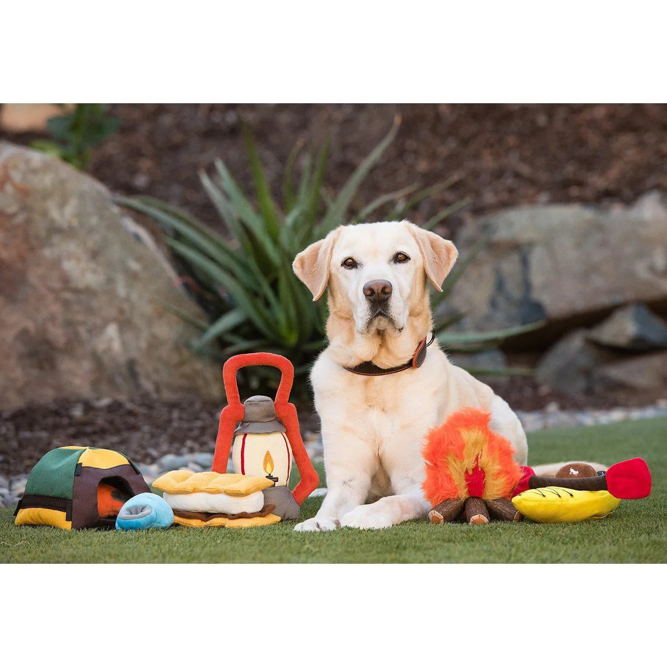 P.L.A.Y - Camp Corbin - Trailblazing Tent Dog Toy