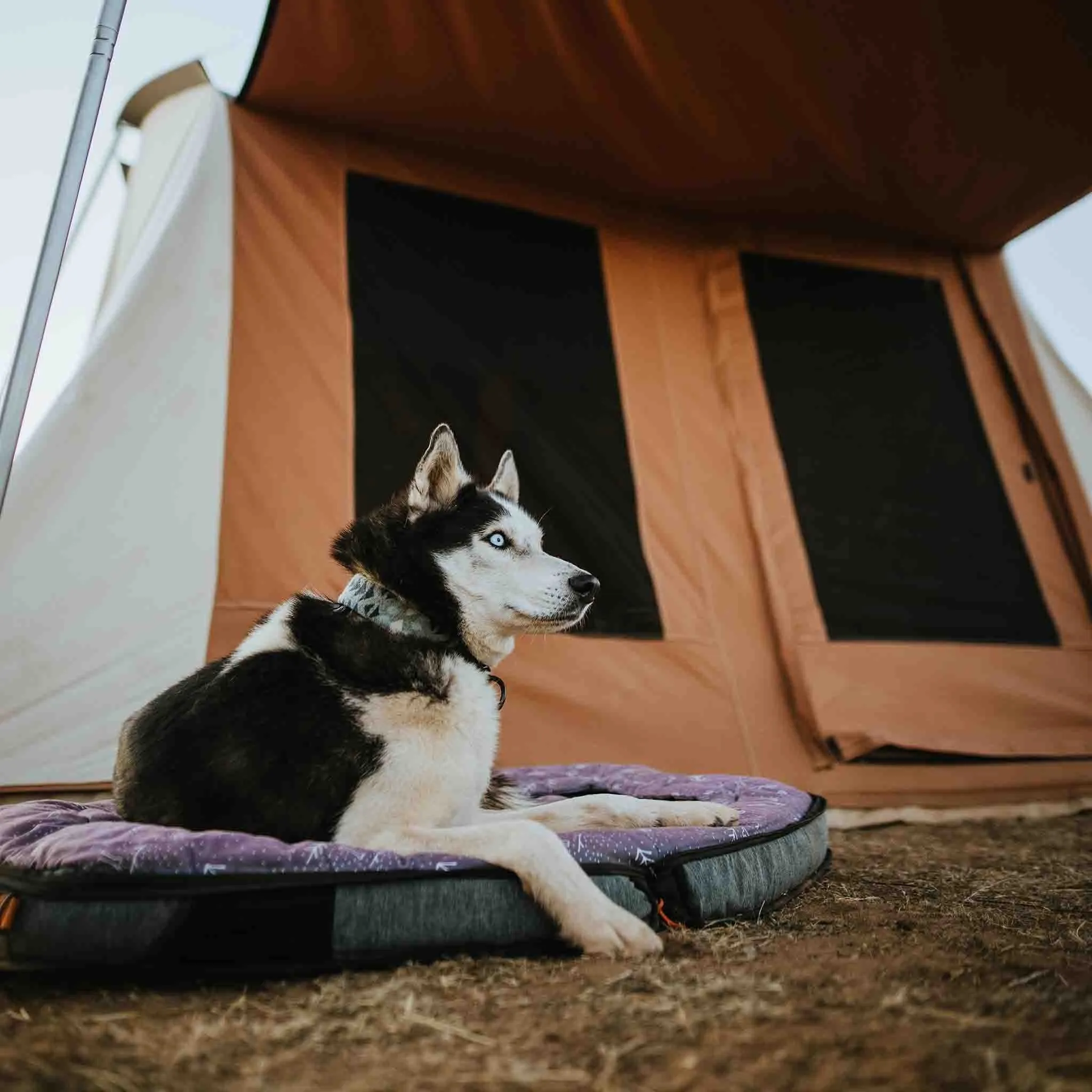 Prota Canvas Tent Deluxe 10'x10'