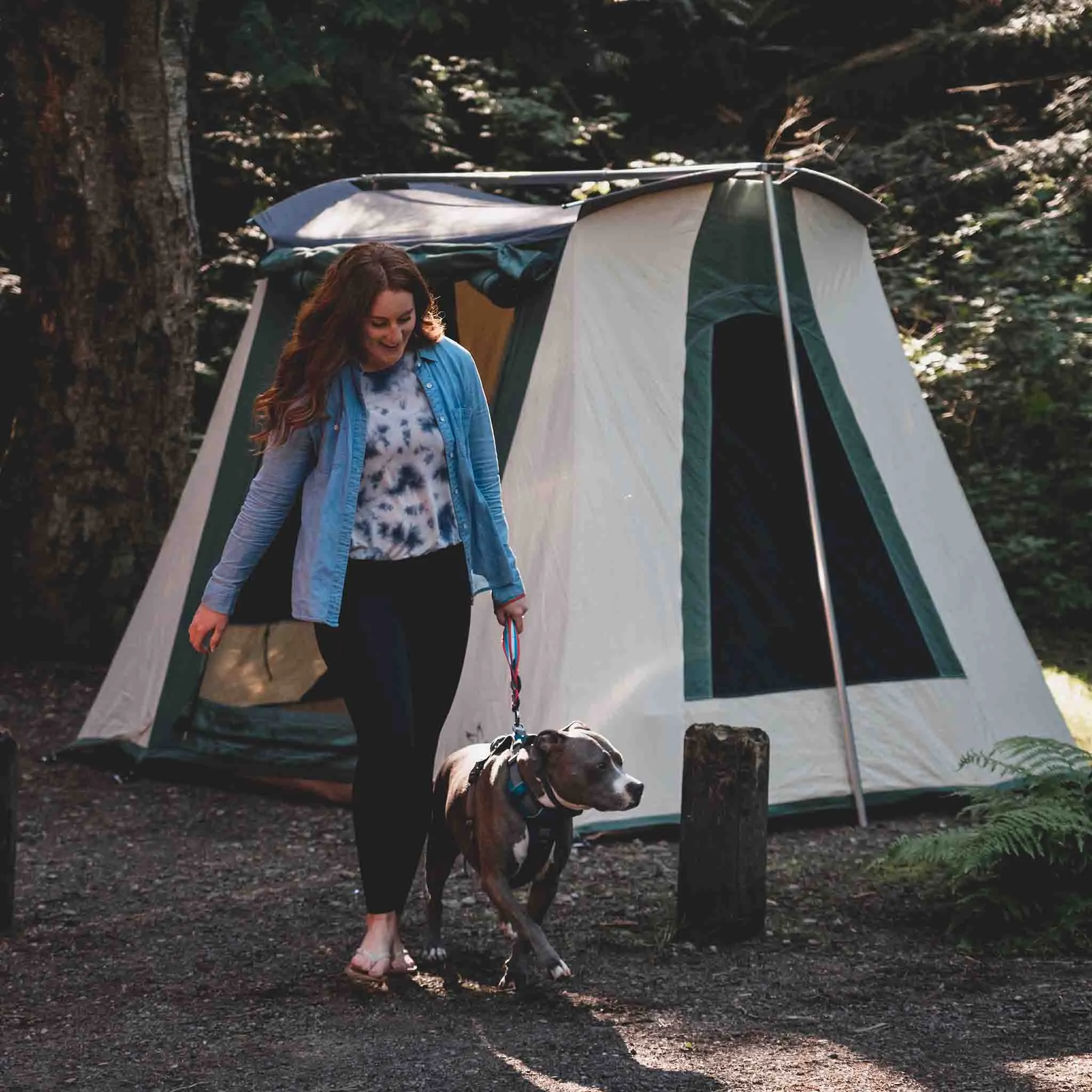 Prota Canvas Tent Deluxe 10'x10'