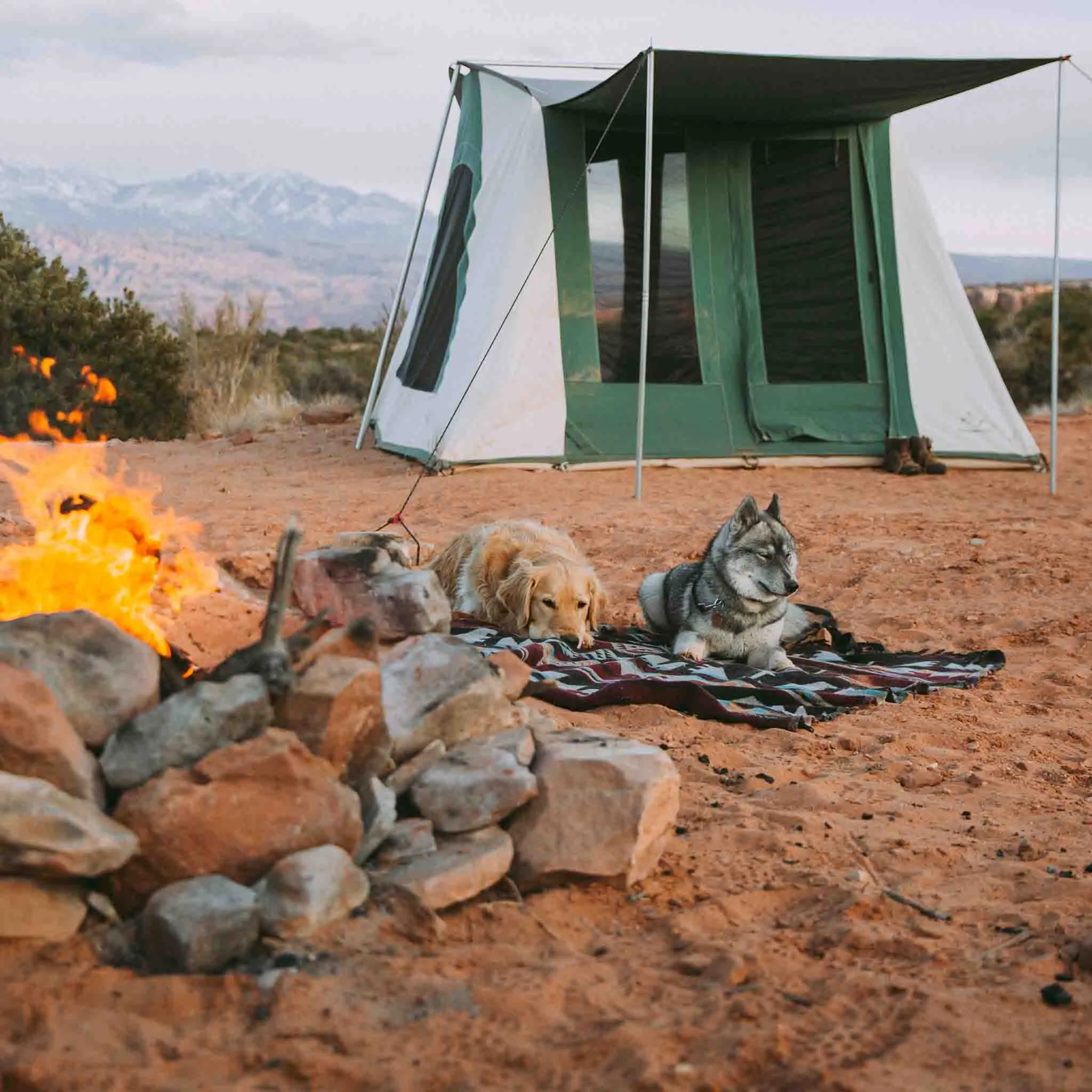 Prota Canvas Tent Deluxe 10'x10'