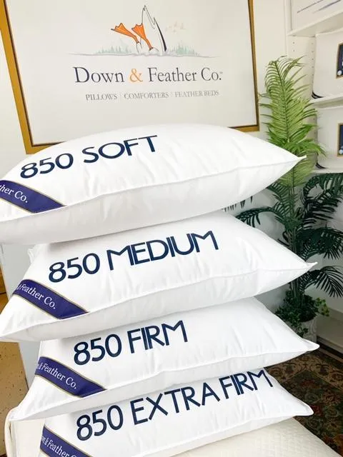 Snuggle Soft 850 Fill Power Goose Down Pillows - Standard (20" x 26")